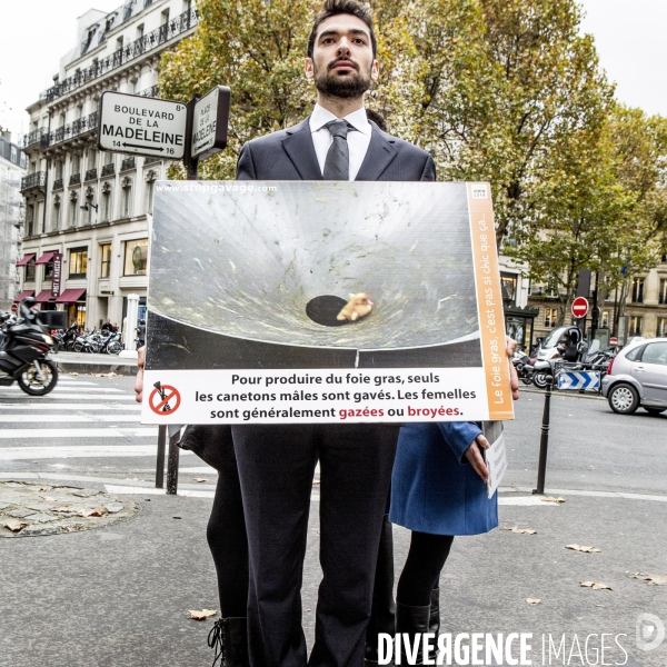 Action contre le foie gras