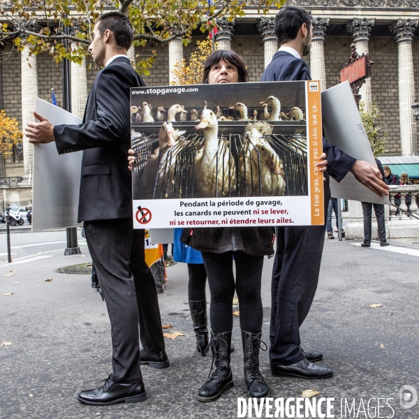 Action contre le foie gras