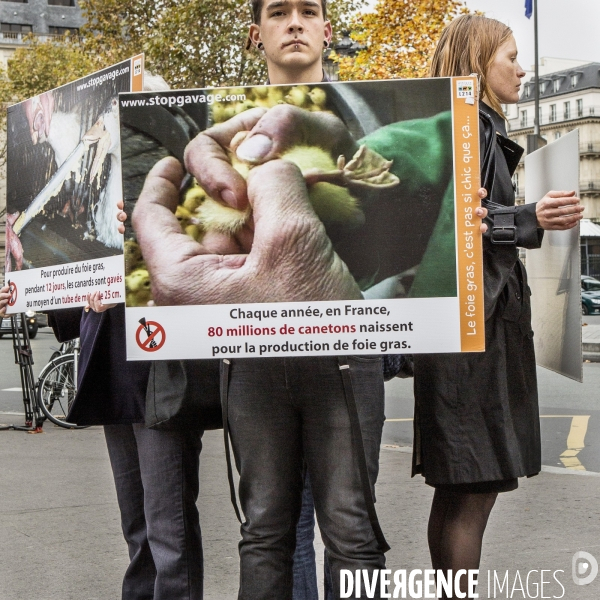 Action contre le foie gras
