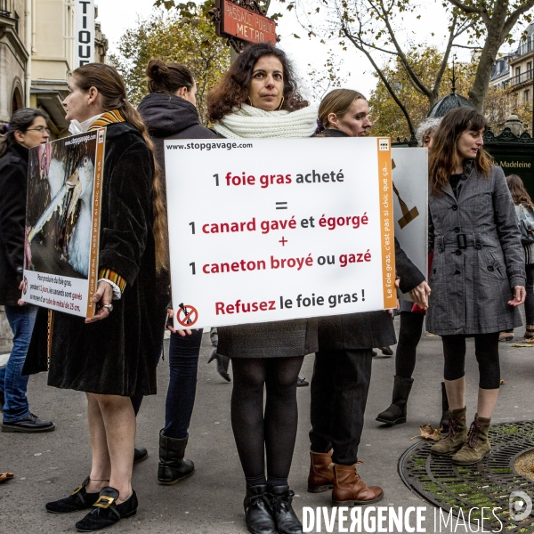 Action contre le foie gras