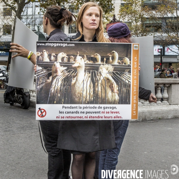 Action contre le foie gras