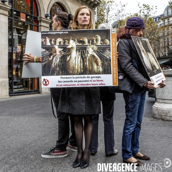 Action contre le foie gras