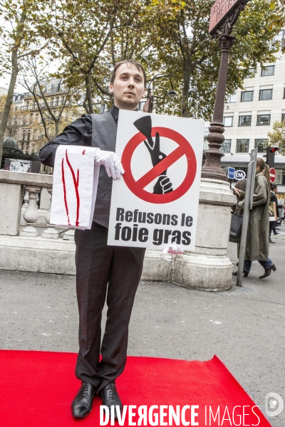 Action contre le foie gras