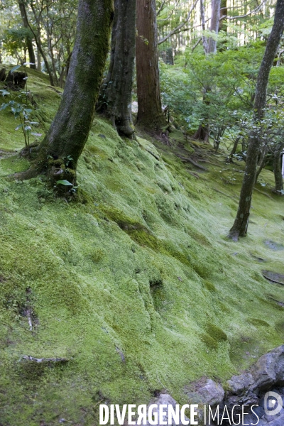 Kyoto.Le jardin zen du pavillon d argent