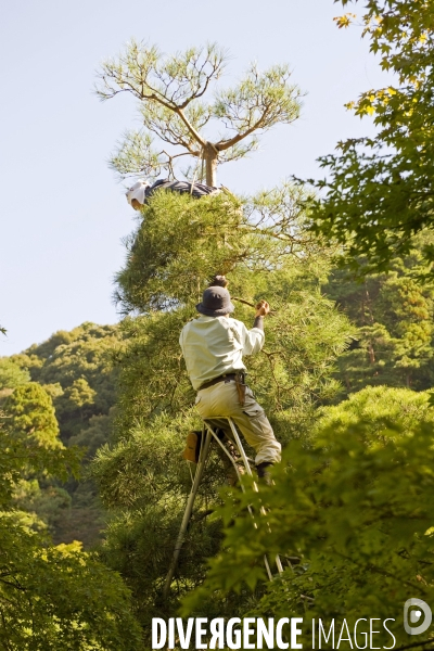 Kyoto