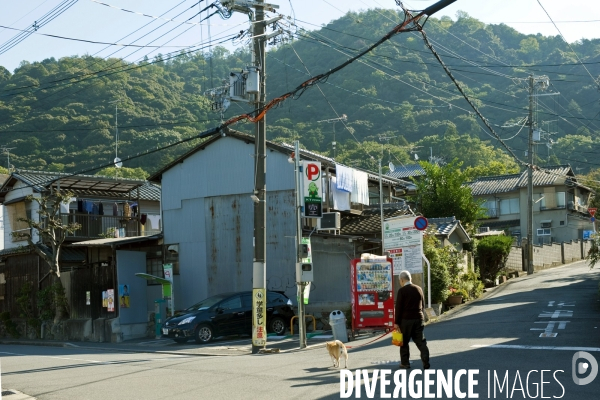 Kyoto.Un homme promene son chien dans le quartier du Chemin des Pihlosophes.