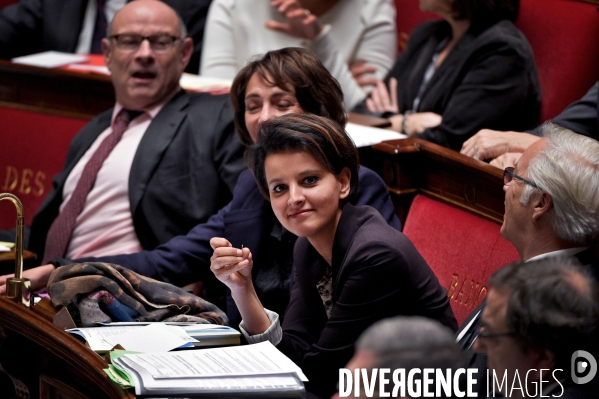 Questions au Gouvernement / Assemblee nationale