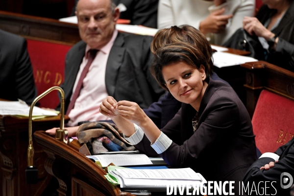 Questions au Gouvernement / Assemblee nationale