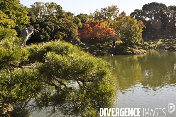 Tokyo /japon novembre 2014