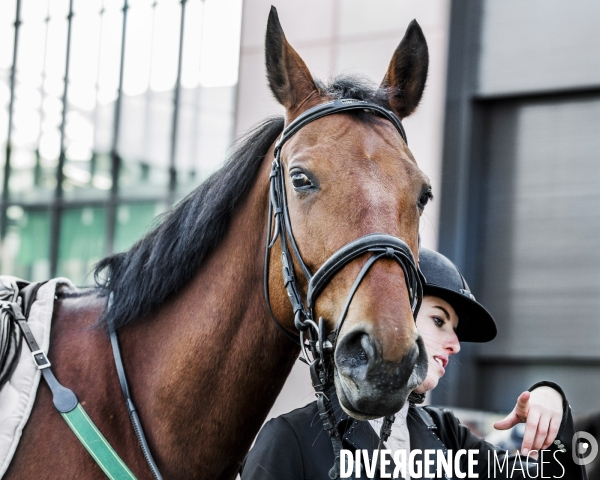 Salon du Cheval de Paris