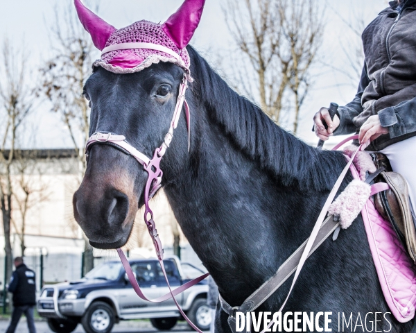 Salon du Cheval de Paris