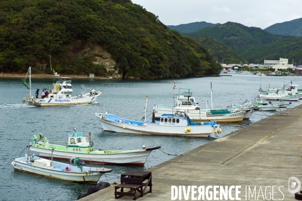 Japon. Tokushima.Petit port de peche pres de Anan sur la cote orientale de l ile Sikoku
