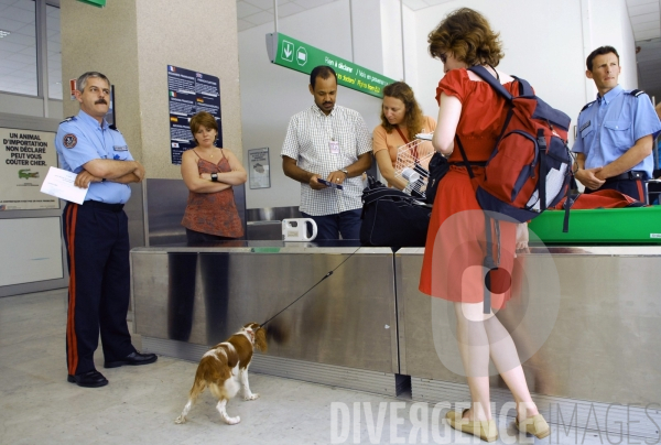 Controles conjoint de la Douane et des Services Vétérinaires à l aéroport de Nice