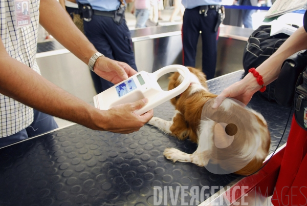 Controles conjoint de la Douane et des Services Vétérinaires à l aéroport de Nice