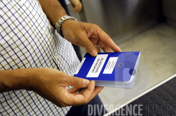 Controles conjoint de la Douane et des Services Vétérinaires à l aéroport de Nice