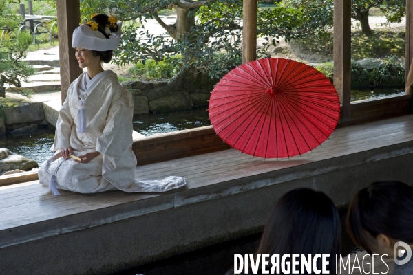 Japon. Okayama. Les maries du Koraku-en  l un des plus beaux jardins du Japon