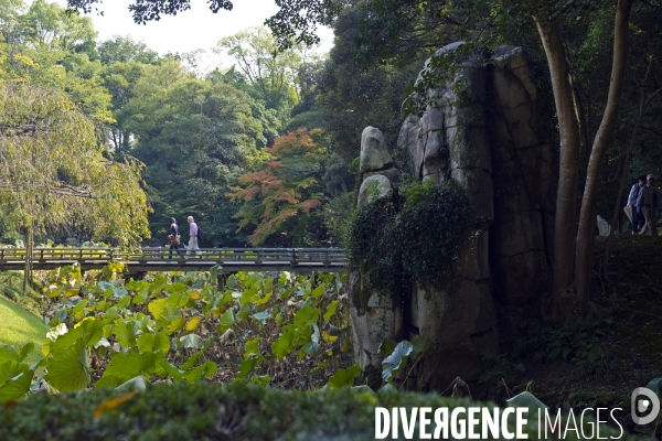 Japon. Okayama.Cree au 17 eme siecle,le Koraku-en, est l un des plus beaux jardins du Japon.