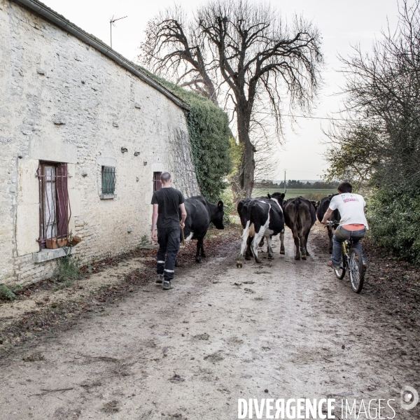 Vie à la ferme #1