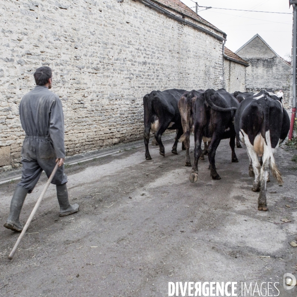 Vie à la ferme #1