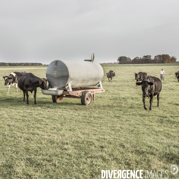 Vie à la ferme #1