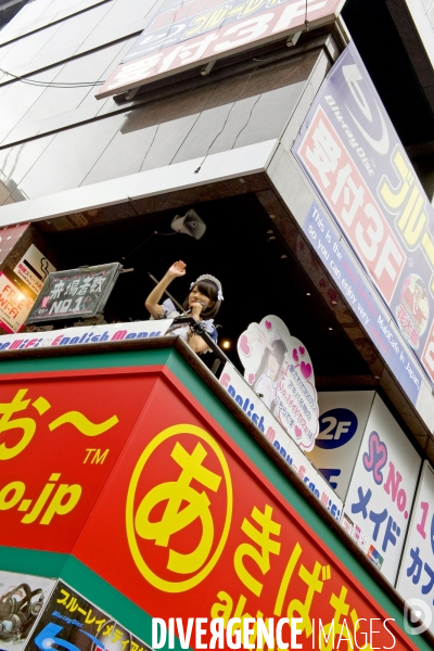 Tokyo.Dans le quartier Akihabara Une jeune fille deguisee en  serveuse, chante pour racoler les passants et les faire venir au maid cafe en contrebas.