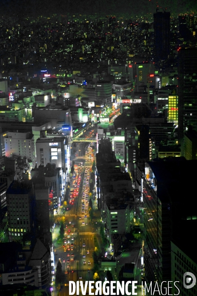 Tokyo. Vue aerienne nocturne depuis le 52 eme etage du Hyatt Park Regency.