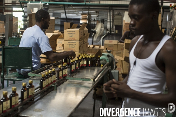 Vie quotidienne en haiti.