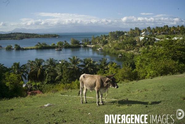 Vie quotidienne en haiti.