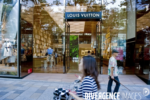 Tokyo.Un magasin Louis Vuitton sur l avenue Omotesando