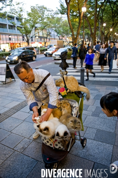 Tokyo