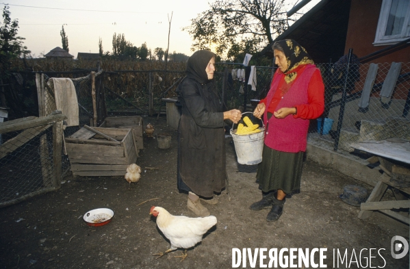 Tsiganes d Europe (archives)