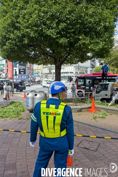 Tokyo