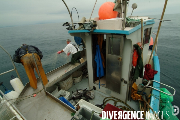 Le Lycee Maritime de Ciboure : formation de jeunes adolescents aux metiers de marins pecheurs