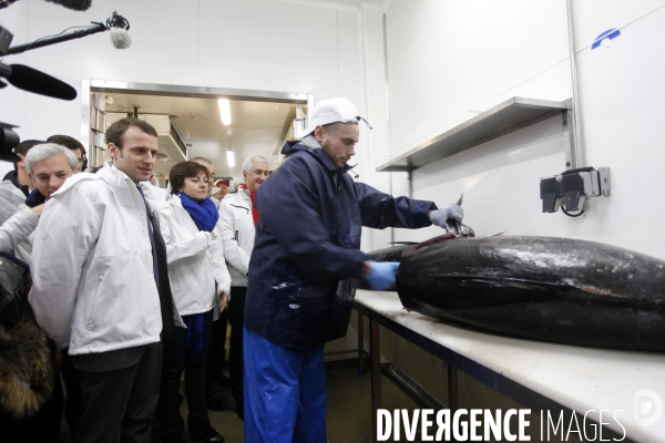 Emmanuel MACRON et Carole DELGA visitent le marche de Rungis