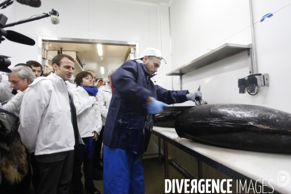 Emmanuel MACRON et Carole DELGA visitent le marche de Rungis