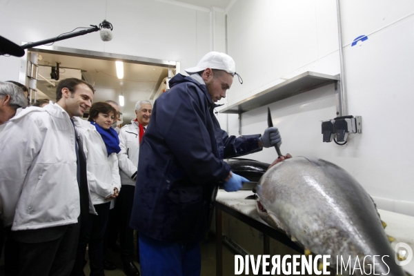 Emmanuel MACRON et Carole DELGA visitent le marche de Rungis