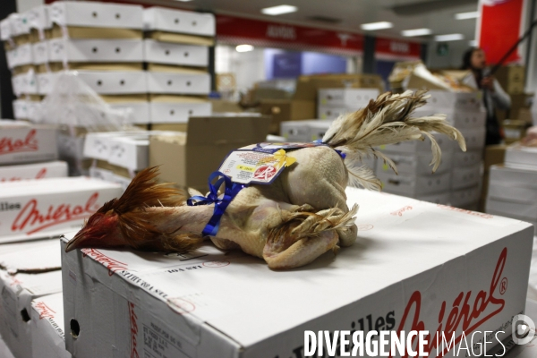 Emmanuel MACRON et Carole DELGA visitent le marche de Rungis