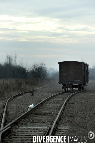 Auschwitz. Camps d extermination et de concentration