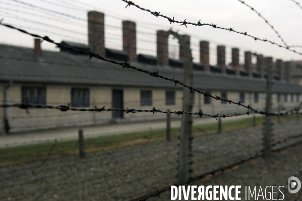Auschwitz. Camps d extermination et de concentration