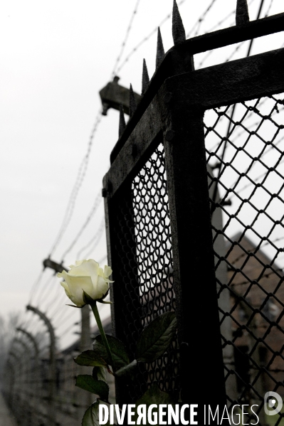 Auschwitz. Camps d extermination et de concentration