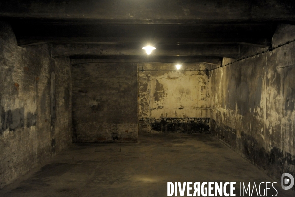 Auschwitz. Camps d extermination et de concentration