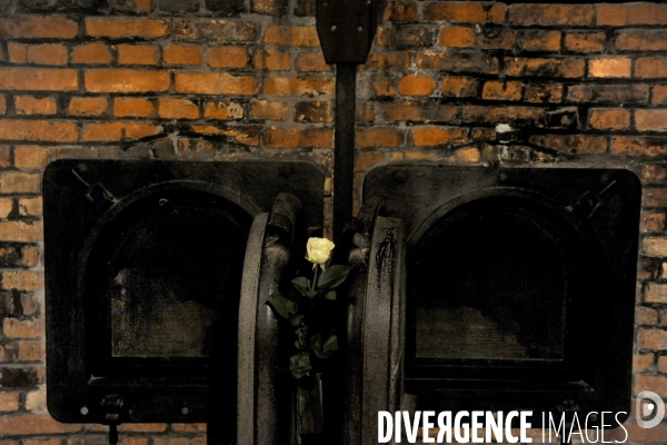 Auschwitz. Camps d extermination et de concentration