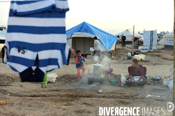 Yazidi Refugees at Khanke camp in Iraq. Réfugiés Yazidi au camp Khanke en Irak.