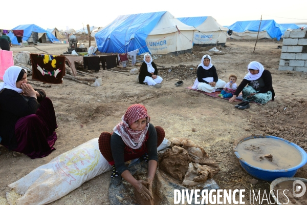 Yazidi Refugees at Khanke camp in Iraq. Réfugiés Yazidi au camp Khanke en Irak.