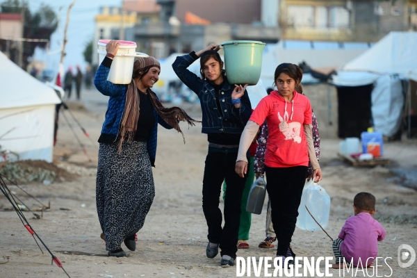 Yazidi Refugees at Khanke camp in Iraq. Réfugiés Yazidi au camp Khanke en Irak.