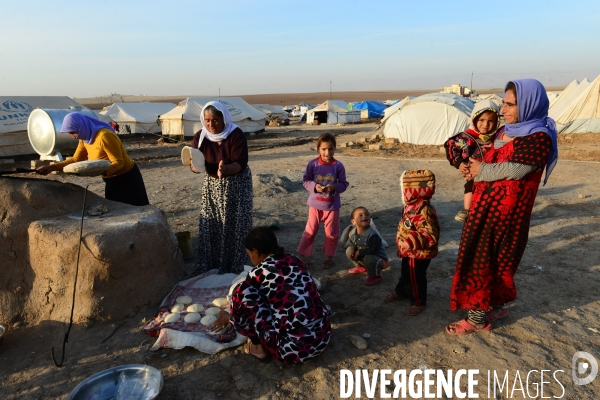 Yazidi Refugees at Khanke camp in Iraq. Réfugiés Yazidi au camp Khanke en Irak.