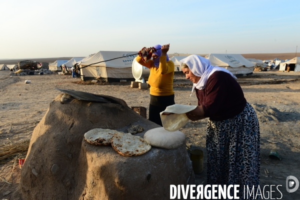 Yazidi Refugees at Khanke camp in Iraq. Réfugiés Yazidi au camp Khanke en Irak.