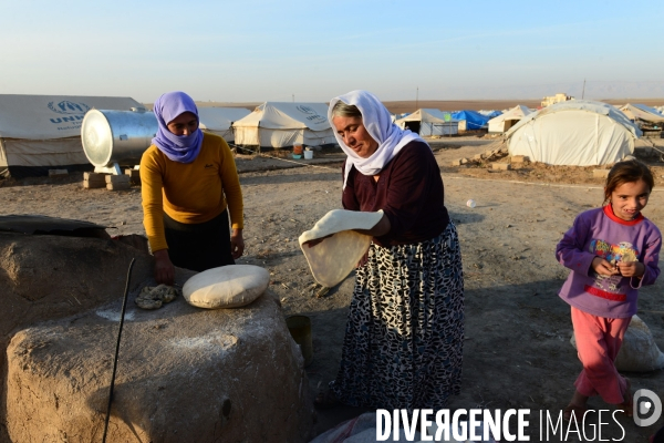 Yazidi Refugees at Khanke camp in Iraq. Réfugiés Yazidi au camp Khanke en Irak.