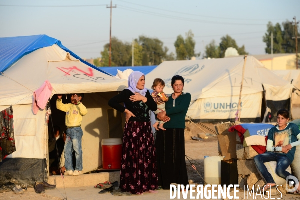 Yazidi Refugees at Khanke camp in Iraq. Réfugiés Yazidi au camp Khanke en Irak.