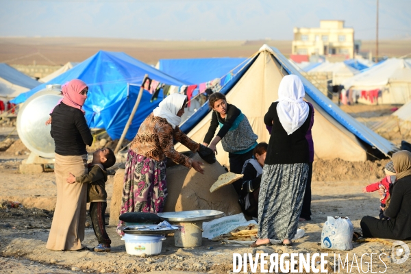 Yazidi Refugees at Khanke camp in Iraq. Réfugiés Yazidi au camp Khanke en Irak.